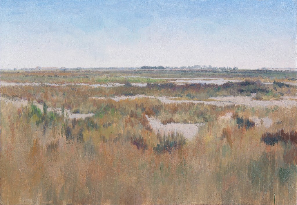 Marismas de Ayamonte IV